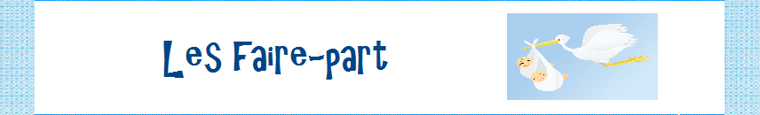 Rubriques Faire-part Jumeaux&Co