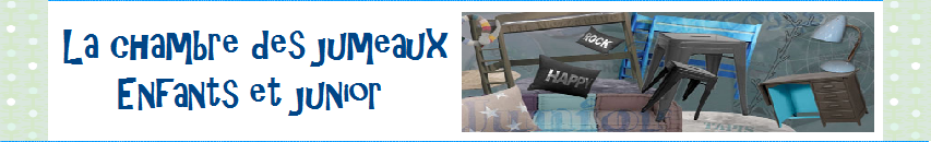 La chambre des jumeaux junior