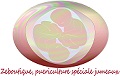 zeboutique