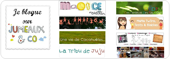 Blogueuse maman jumeaux