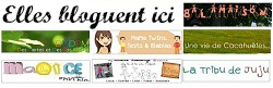 blog mamans jumeaux