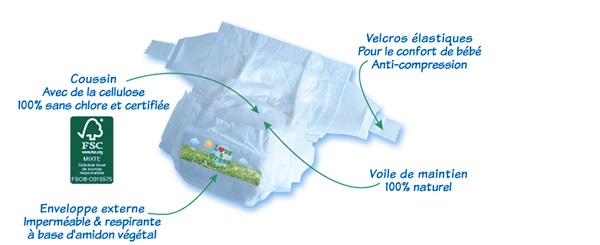 couches love and green