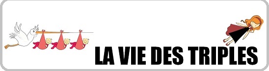 bandeau la vie des triples