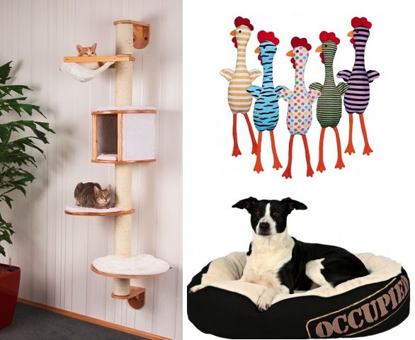 chats chients et enfants