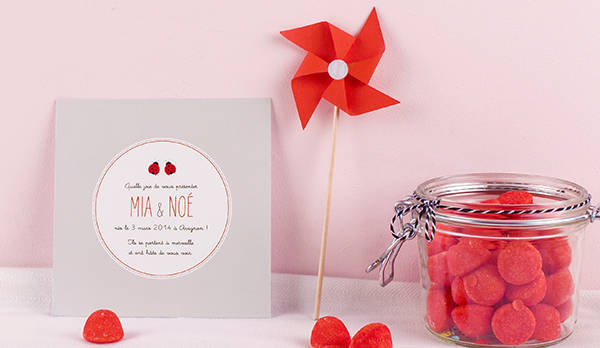 Faire part de naissance jumeaux coccinelle