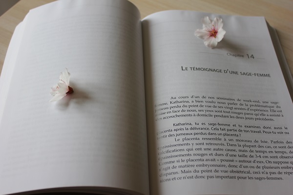 Le syndrôme du jumeau perdu