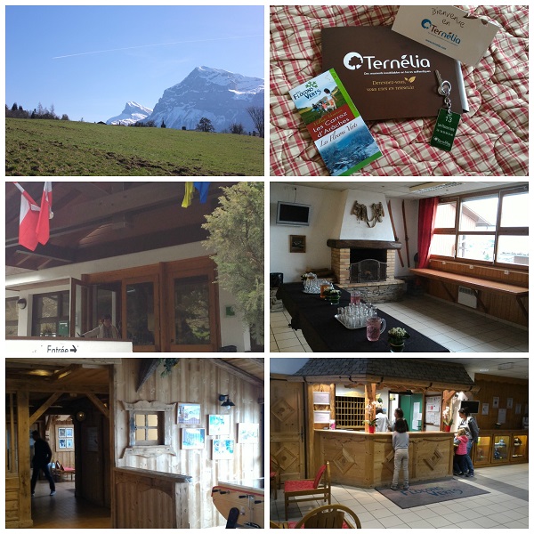 Ternelia flocons verts