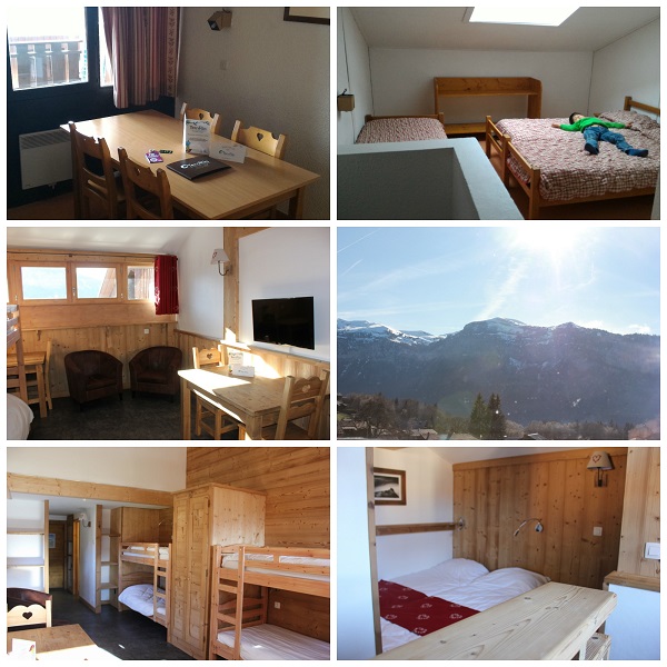 Ternelia flocons verts en Famille