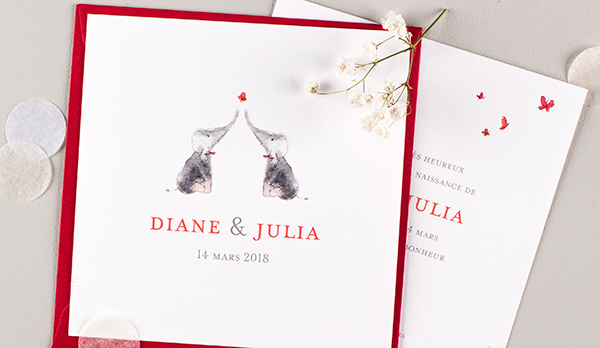 faire-part-naissance-jumeaux-amour-elephants