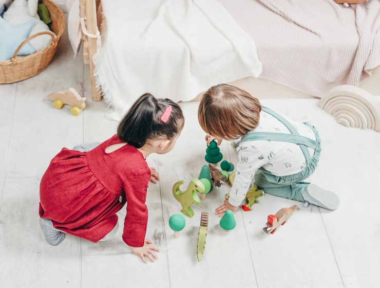 statistiques naissance de jumeaux en France