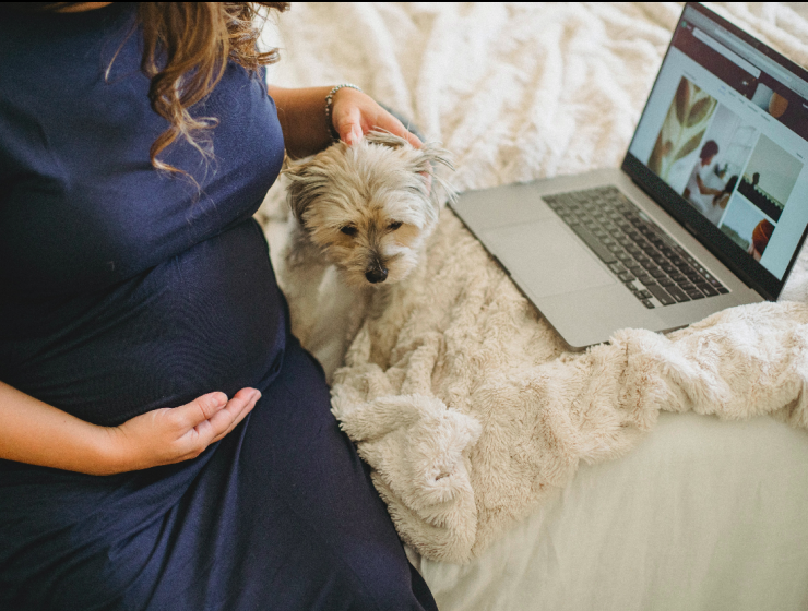 choisir maternité jumeaux type 1,2 ou 3 ?