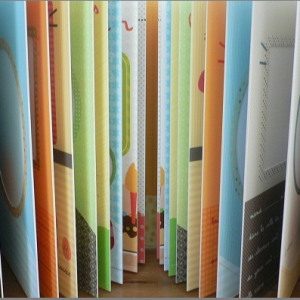 Livre jumeaux coucou c'est nous