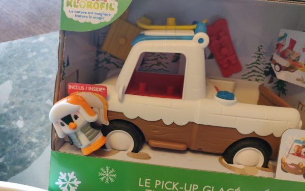 Klorofil pic up hiver