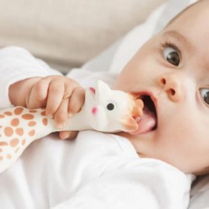 Noel solidaire sophie la girafe