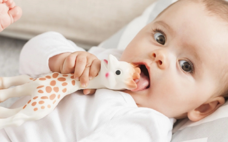 Coffret de naissance Sophie la Girafe : Sophisticated petit modèle